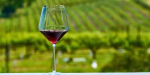 Εξερευνώντας τα Ιταλικά κρασιά-E-Kanava